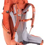 کوله پشتی 24 لیتری دیوتر مدل DEUTER FUTURA 24 SL آجری