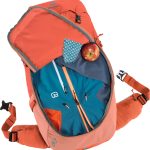 کوله پشتی 24 لیتری دیوتر مدل DEUTER FUTURA 24 SL آجری