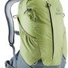 کوله پشتی 15 لیتری دیوتر مدل DEUTER AC LITE 15 SL سبز طوسی