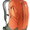 کوله پشتی 17 لیتری دیوتر مدل DEUTER AC LITE 17 آجری