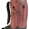 کوله پشتی 16 لیتری دیوتر مدل DEUTER AC LITE 16 قهوه ای
