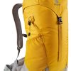 کوله پشتی 22 لیتری دیوتر مدل DEUTER AC LITE 22 SL خردلی