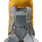 کوله پشتی 28 لیتری دیوتر مدل DEUTER AC LITE 28 SL خردلی