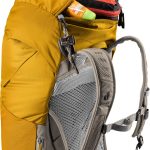 کوله پشتی 28 لیتری دیوتر مدل DEUTER AC LITE 28 SL خردلی