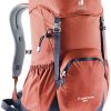 کوله پشتی 24 لیتری دیوتر مدل DEUTER ZUGSPITZE 24 آجری