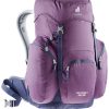 کوله پشتی 30 لیتری دیوتر مدل DEUTER GRÖDEN 30 SL بنفش